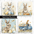 SEASONAL COASTER DTF Kit | DIY Kits