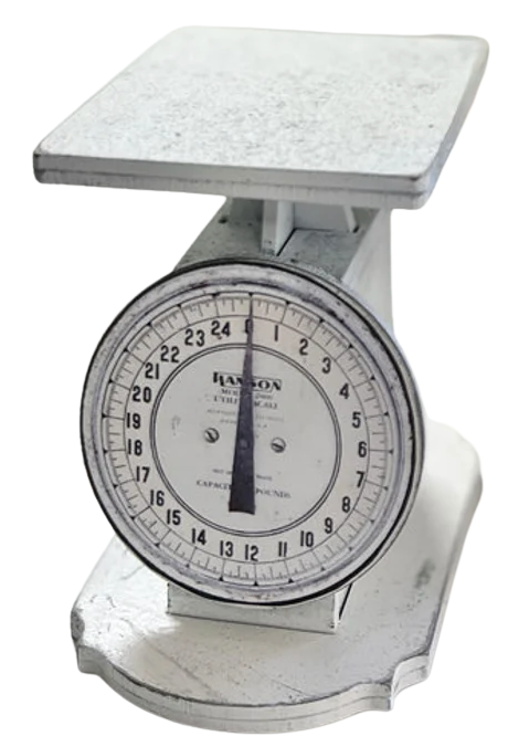 Kitchen Scale  | Wood Craft Blank