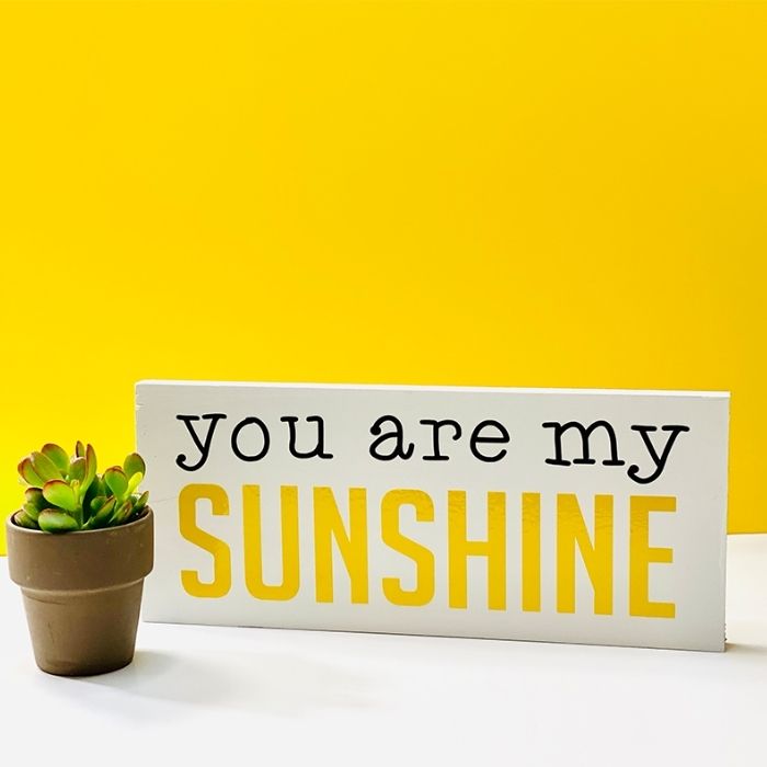 Simplified SVG Beginner | DIY Kit